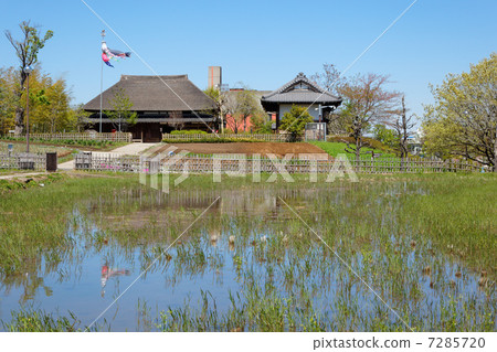 在城市農業公園的農舍和在飛行的猩紅色和稻田中照耀的風景 7285720