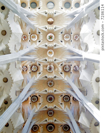 Sagrada Familia's ceiling 7286114