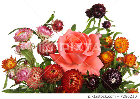 Summer still-life 7286230