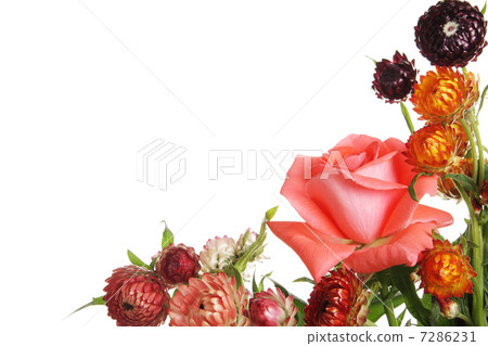 Rainbow bouquet 7286231