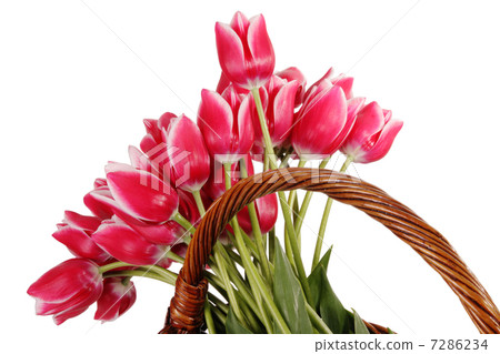 Easter bouquet 7286234