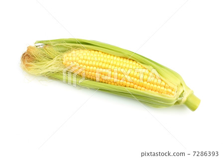 corn corn 7286393
