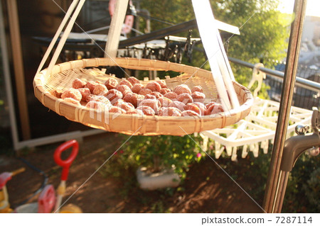 Umeboshi製作 Umeboshi製作 7287114
