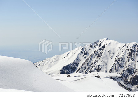 Spring noodles Spring noodles 7287698