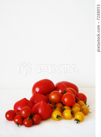 Tomato Tomato 7288053