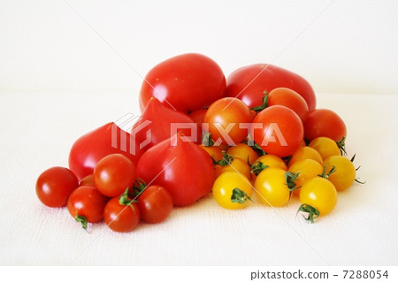 Tomato   7288054