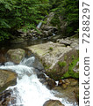 Yakushima River 7288297