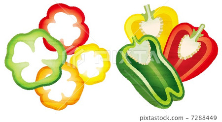 Watercolor-style paprika Watercolor-style paprika 7288449