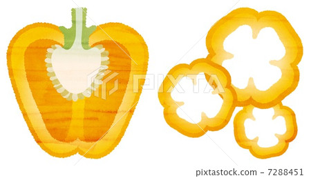 Watercolor-style paprika Watercolor-style paprika 7288451