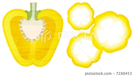 Watercolor-style paprika Watercolor-style paprika 7288453