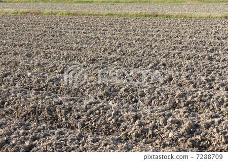 耕地 7288709