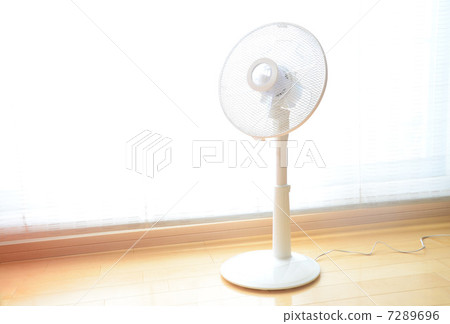 Electric fan 7289696