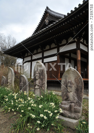 Spring of Nara Kokusaiji 7289788