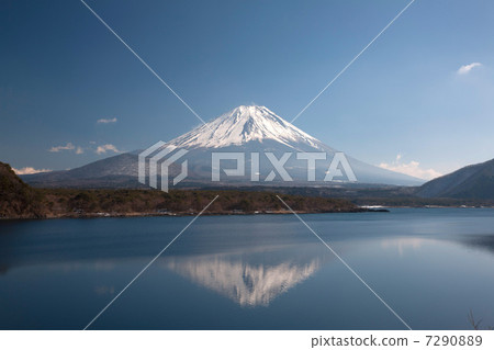 來自本栖湖的富士山 7290889