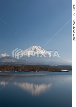 來自本栖湖的富士山 7290891