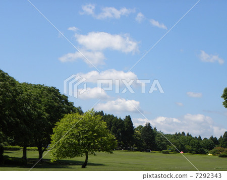 The Showa no Mori in the early summer The blue sky in the squares of the sun The Showa no Mori in the early summer The blue sky in the squares of the sun 7292343
