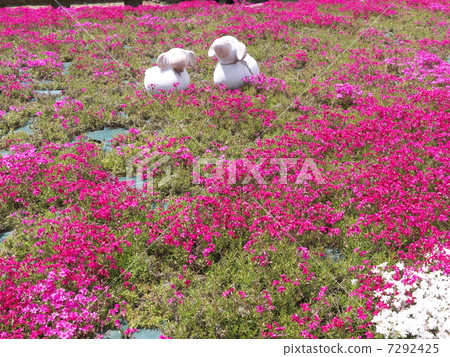 Flower rug Flower rug 7292425