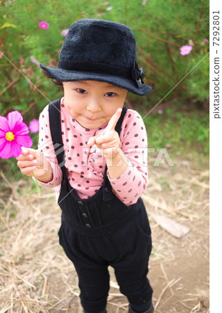 In a cosmos field 7292801