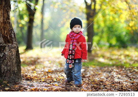 Adorable toddler in an autumn park 7293513