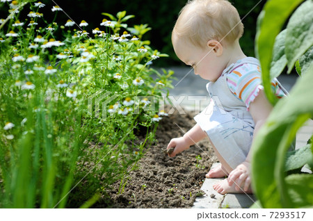 Adorable toddler girl playing 7293517