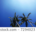 Travel 7294023