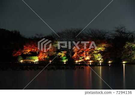 Owakuji寺Oosawa池塘燈 Owakuji寺Oosawa池塘燈 7294136