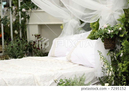  English garden 7295152