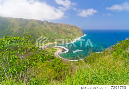 Hawaii Molokai Island East Coast Harawa Valley Hawaii Molokai Island East Coast Harawa Valley 7295753