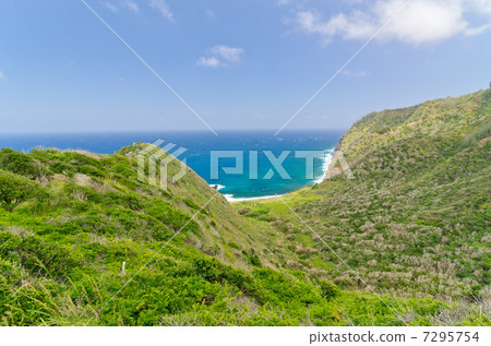 夏威夷莫洛凱島東海岸哈拉瓦山谷 夏威夷莫洛凱島東海岸哈拉瓦山谷 7295754