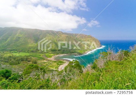 夏威夷莫洛凱島東海岸哈拉瓦山谷 7295756