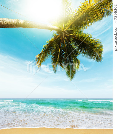 Tropical sea coast in sunny day Tropical sea coast in sunny day 7296302