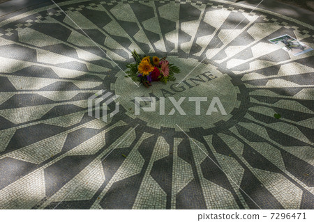 紐約，初夏，草莓園 7296471