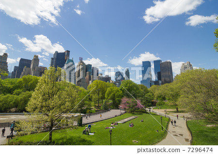 Central park in New York, early summer 7296474