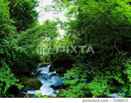 Mount Naki Mount Naki 7296653