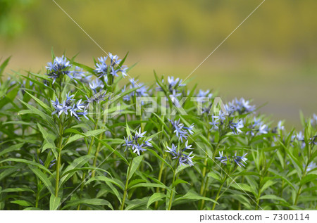 Choujisou Choujisou 7300114