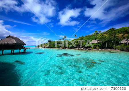 South Island 7300120