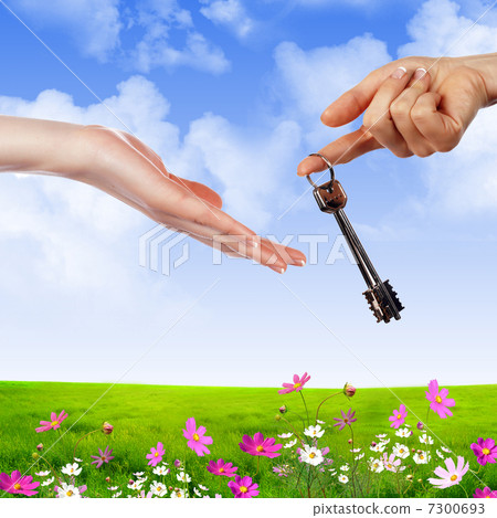 hands holding house 7300693
