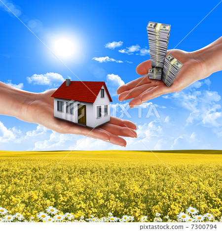 hands holding house 7300794