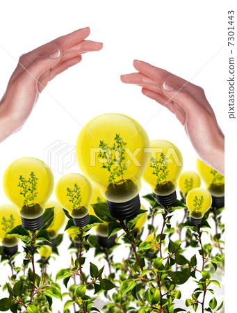 Arms and light bulbs 7301443