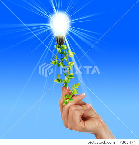 Arms and light bulbs Arms and light bulbs 7301474