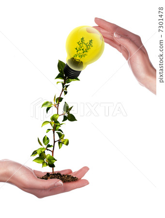 Arms and light bulbs 7301478