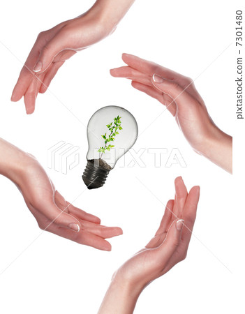 Arms and light bulbs 7301480
