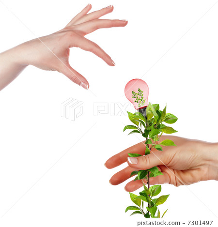 Arms and light bulbs 7301497