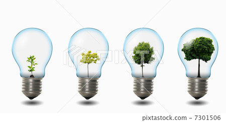 light bulb with nature light bulb with nature 7301506
