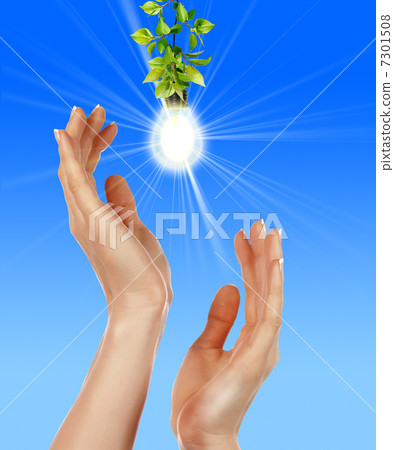 Arms and light bulbs Arms and light bulbs 7301508
