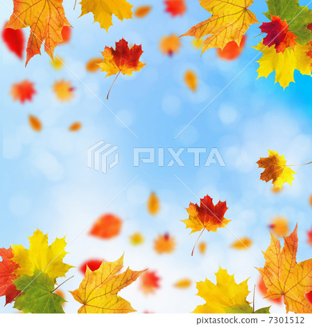 Red and yellow leaves 7301512