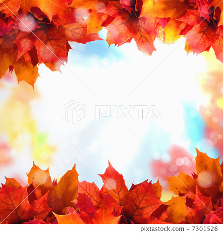 Red and yellow leaves 7301526