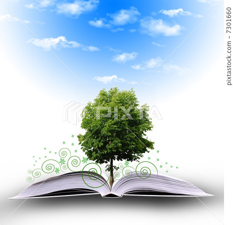 magic book magic book 7301660