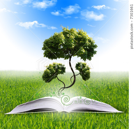 magic book magic book 7301661