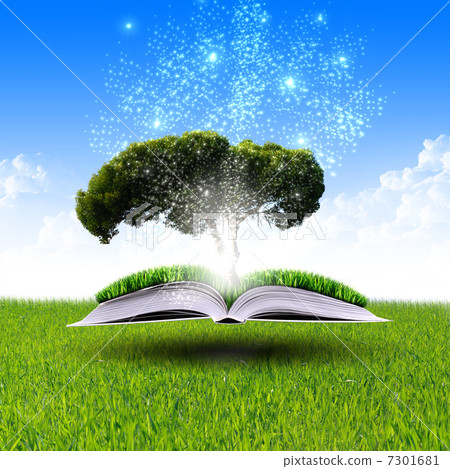 magic book magic book 7301681